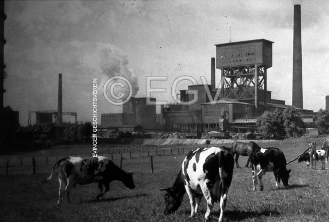 Bauernidylle vor der Kulisse Minister Stein, um 1940